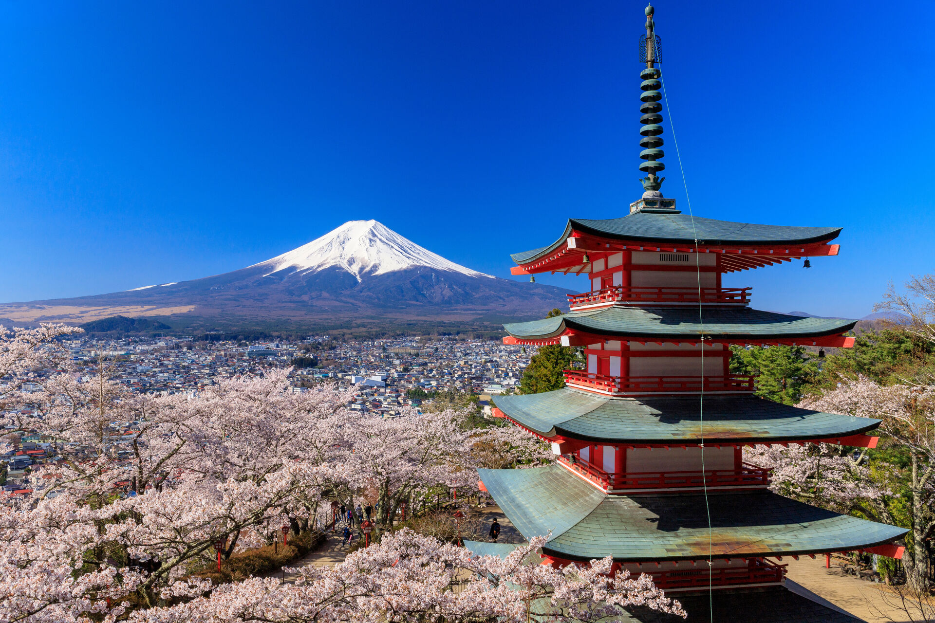 観光を軸に笑顔でつながる世界を追求