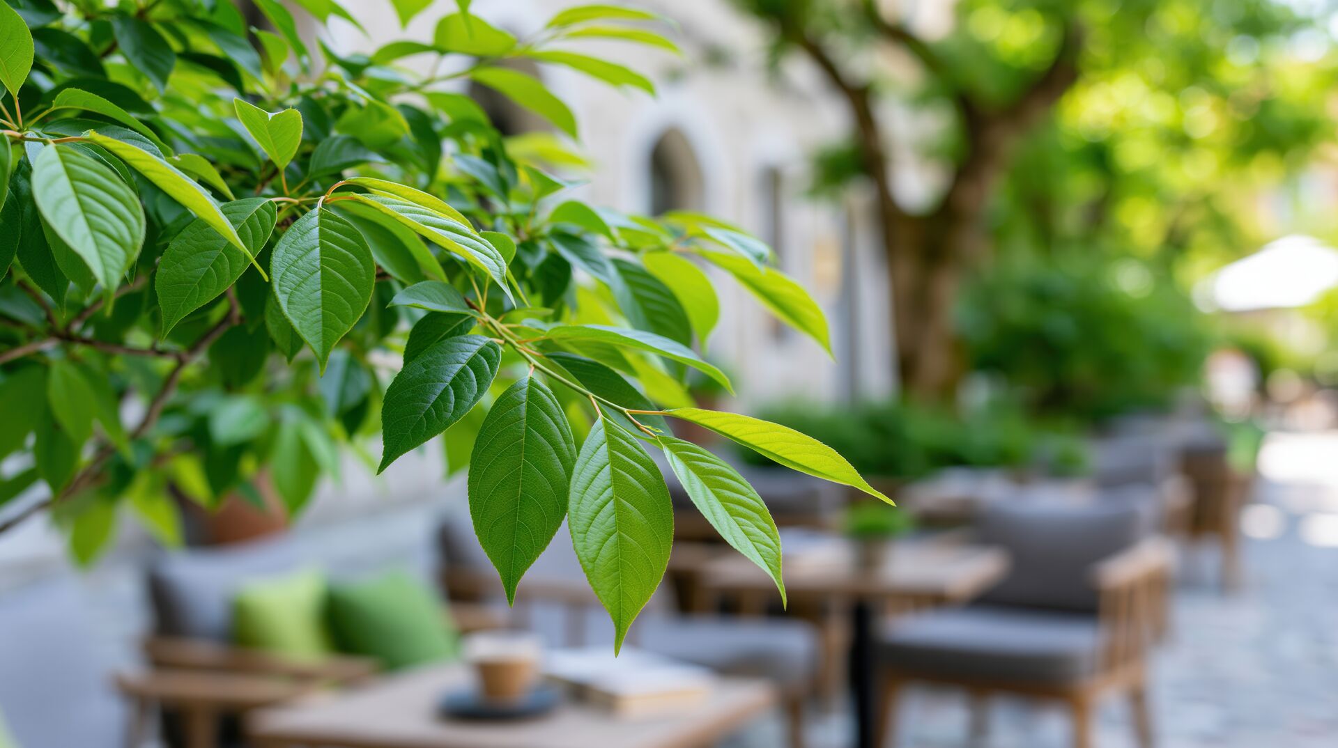 AdobeStock_2065048522