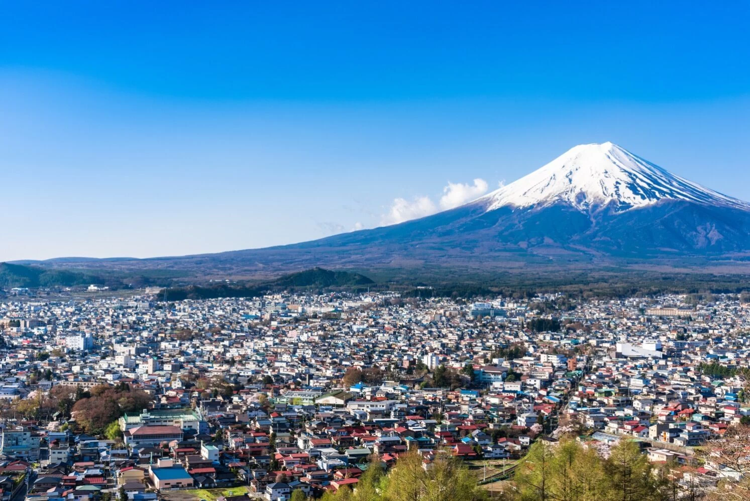 観光業が日本の未来を変える観光ビジネスが柱の一つ